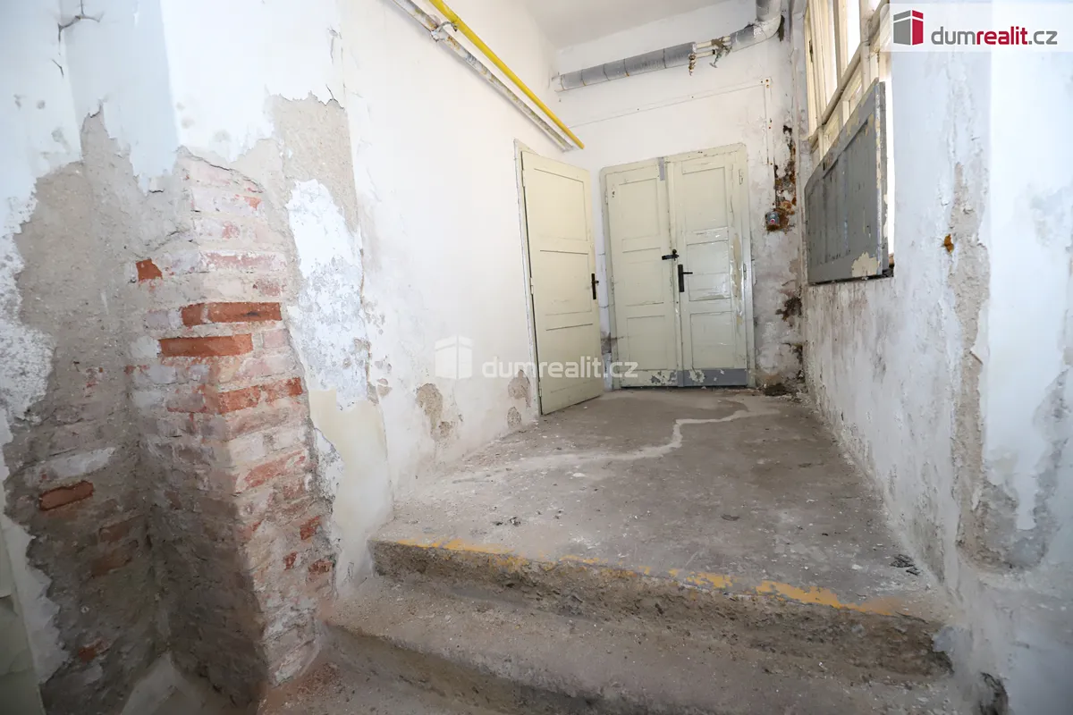 Fotka 23 z 30